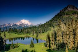 Mount Rainier von Antwan Janssen