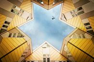 Maisons en cube Rotterdam par Dirk Wüstenhagen Aperçu