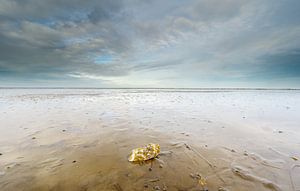Vue sur la mer des Wadden