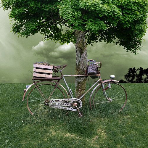 Aufkommender Sturm - H. Fischer