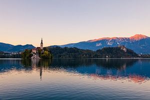 BLED 11