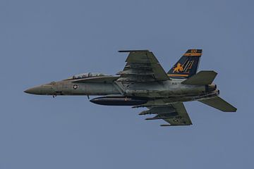 Boeing F/A-18F Super Hornet van VFA-32 Swordsmen. van Jaap van den Berg