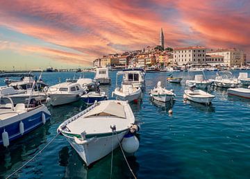 Haven met de stad Rovinj aan de Adriatische kust van Animaflora PicsStock