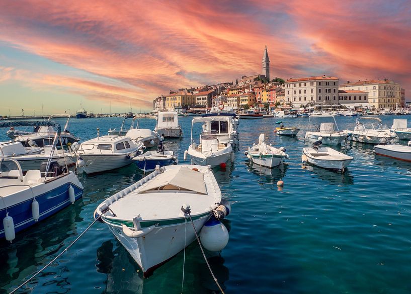 Port avec la ville de Rovinj sur la côte Adriatique par Animaflora PicsStock