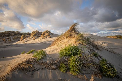 Zee, duin en strand, leven aan de kust! by Dirk van Egmond