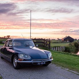 Citroën DS by Sim Van Gyseghem