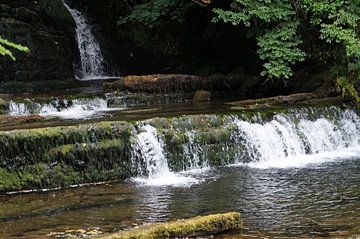 Fowley's Falls in Ireland by Babetts Bildergalerie