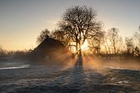 Zonnestralen op een mistige morgen