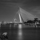 Rotterdam Erasmusbrug WHD 2015 #5 van John Ouwens thumbnail