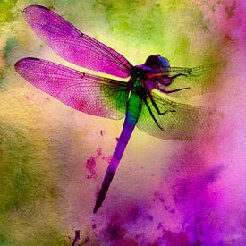 Farbenfrohe Libelle in einer abstrakten Farbtupfer von But First Framing