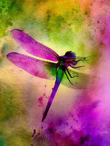 Libellule colorée dans une explosion de peinture abstraite