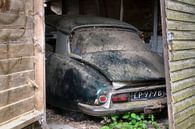 Abandoned Car. by Roman Robroek thumbnail