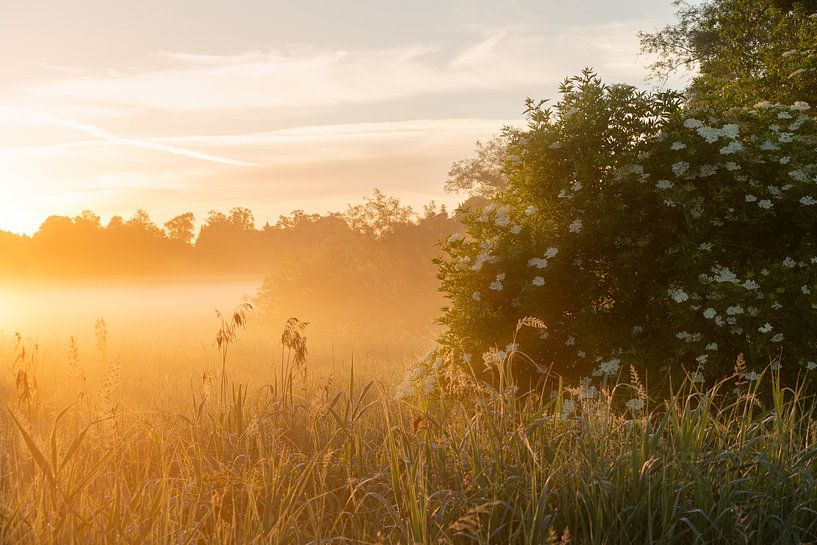 Lever de soleil pittoresque sur l'Aller par Marc-Sven Kirsch