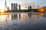 Erasmusbrug en kop van zuid weerspiegelt in bevroren plas van Remco Swiers thumbnail