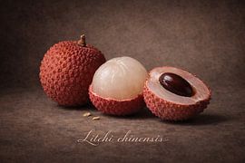 Lychee. Litchi chinensis by Bert Quaedvlieg