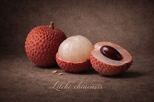 Lychee. Litchi chinensis