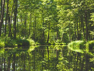 Zomer in het Spreewald van Aurica Voss