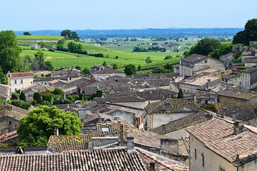 Zicht op Saint-Émilion, Frans dorp in de Bordeaux wijnstreek, met groene wijngaarden op de achtergrond van Studio LE-gals