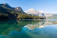 Emerald Lake, Yoho National Park van Johan van Venrooy thumbnail