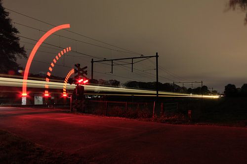 Eisenbahnbäume in der Dunkelheit, Velp Gld