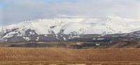 Ijsland, Vik