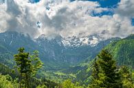 Vellacher Kotschna-vallei in de Kamnik Savinja Alpen in Oostenrijk van Sjoerd van der Wal Fotografie thumbnail