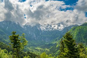 Vellacher Kotschna Tal in den Kamnik Savinja Alpen in Österreich
