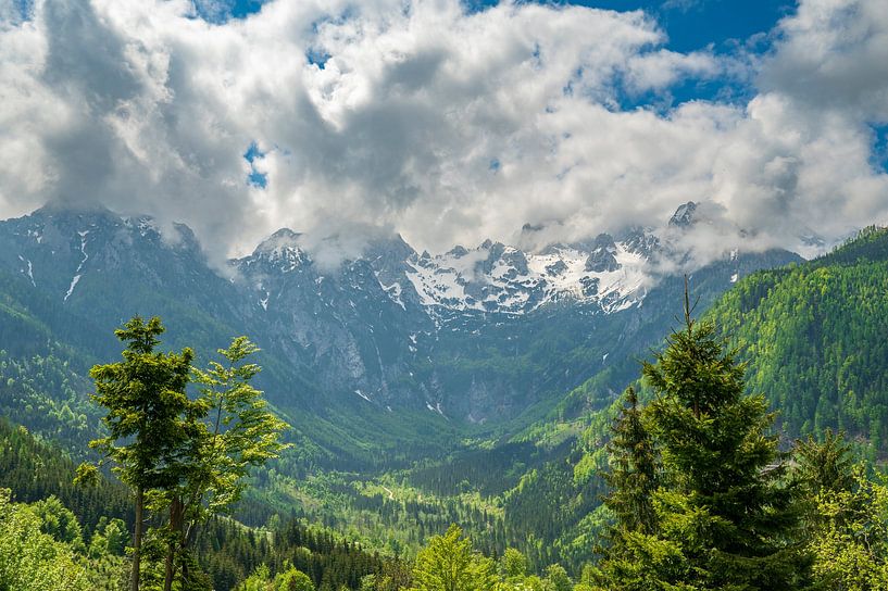 Vellacher Kotschna-vallei in de Kamnik Savinja Alpen in Oostenrijk van Sjoerd van der Wal Fotografie