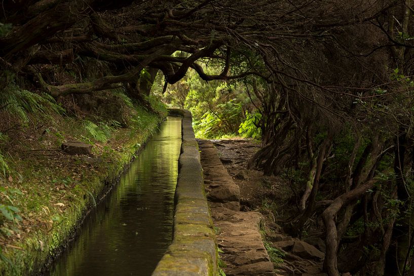 Levada wandelingen over het bloemeneiland Madeira par Paul Wendels