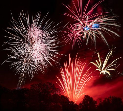 Grand spectacle de feux d'artifice dans un parc
