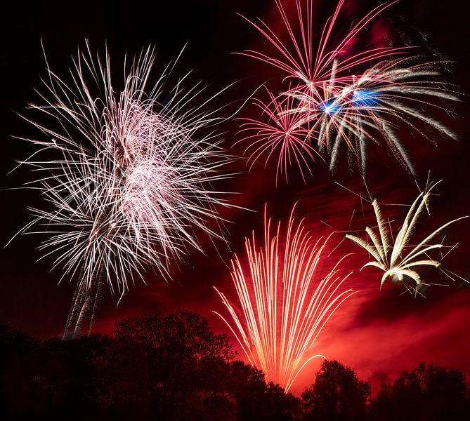 Large fireworks spectacle in a park by ManfredFotos