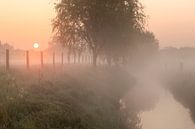 een mistige ochtend langs de beek in Menen van Fotografie Krist / Top Foto Vlaanderen thumbnail