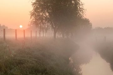 een mistige ochtend langs de beek in Menen van Fotografie Krist / Top Foto Vlaanderen