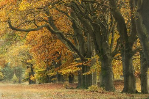Herbstfarben
