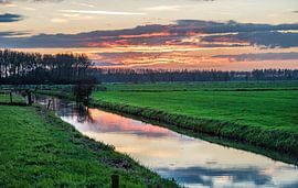 paysage