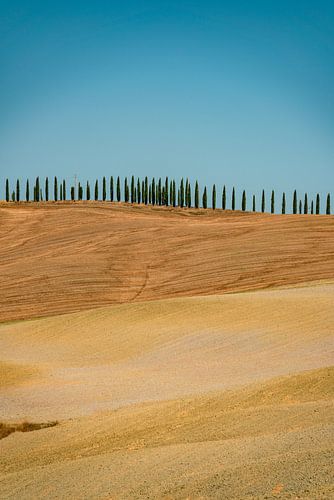 Toscane landschap