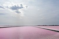 pink sea water in the Camarque