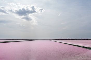 rosa Meerwasser in der Camarque