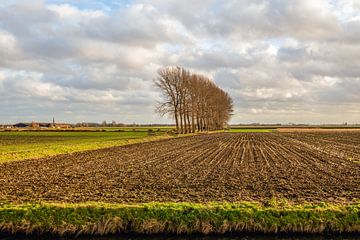 Nederlands landschap met pas geploegde akker