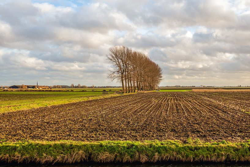 Holländische Landschaft mit neu gepflügten Feldern von Ruud Morijn