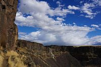 Klimmer in Frenchman Coulee