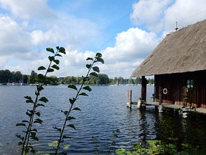 Am Tegeler See