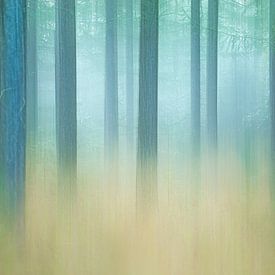 Représentation abstraite d'une forêt de pins brumeuse sur Vincent de Jong