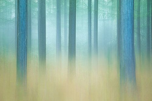 Représentation abstraite d'une forêt de pins brumeuse