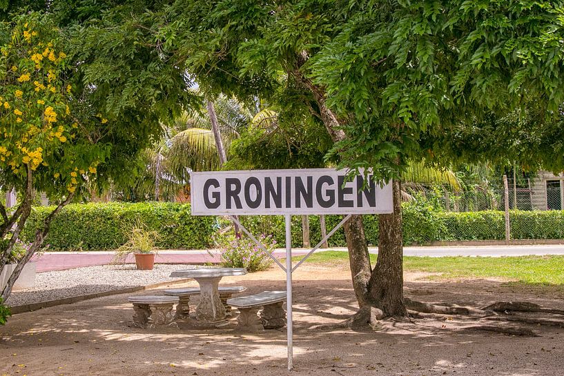 Groningue au Suriname par Patricia Hofmeester