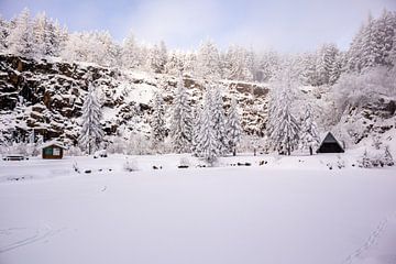 Tour de ski de fond par un temps impérial dans la forêt enneigée de Thuringe près de Floh-Seligenthal - Thuringe - Allemagne sur Oliver Hlavaty