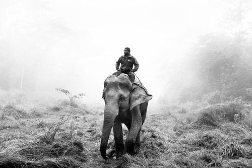 Le mahout dans le parc de Chitwan au Népal sur Marvin de Kievit
