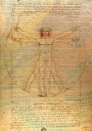 Der Mann von Vitruv von Moonheart Artworks