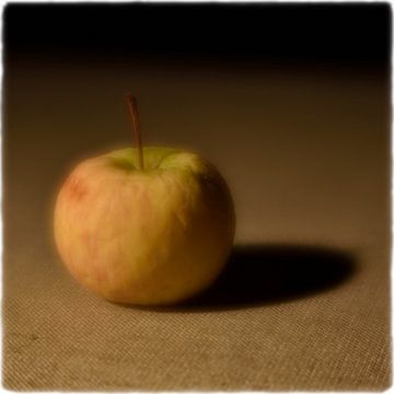 Petite pomme sur Günther Henry Schulze