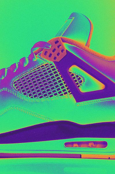 Jordan 4 Hologram van Niels Berendsen
